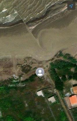 3هکتار زمین ساحلی پلاک اول دریا در گروه خرید و فروش املاک در مازندران در شیپور-عکس1