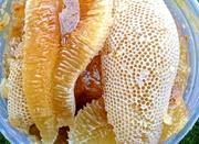 عسل . گرده گل.ژله رویال.عسل طبیعی.پنیرکوزه