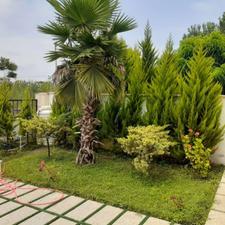 فروش زمین مسکونی 235 متر در حاجی کلا