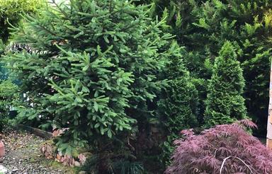 فروش زمین 360 متر در سلمان شهر