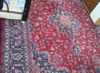 فرش دستبافت در شیپور-عکس کوچک