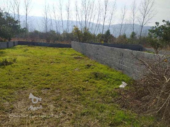 فروش زمین مسکونی 260 متر در قلعه گردن در گروه خرید و فروش املاک در مازندران در شیپور-عکس1