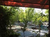 فروش باغ ویلا 530 متری در زردنجان در شیپور-عکس کوچک