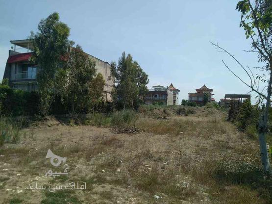 فروش زمین مسکونی 400متر در شهرک ساحلی چپکرود جویبار در گروه خرید و فروش املاک در مازندران در شیپور-عکس1