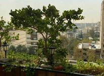 فروش آپارتمان 127 متر در آجودانیه در شیپور-عکس کوچک