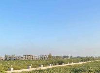 فروش زمین مسکونی 210 متر در شیپور-عکس کوچک