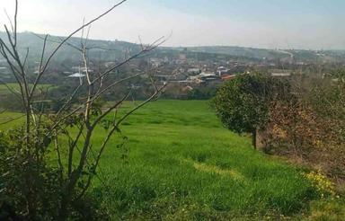 فروش باغ1000 متر در کوتنا و اب و برق فوری