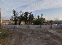 فروش زمین مسکونی 350 متر در رضوانشهر در شیپور-عکس کوچک