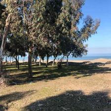 زمین ساحلی پلاک 1 ویو ابدی ساحل در چپکرود 192متر