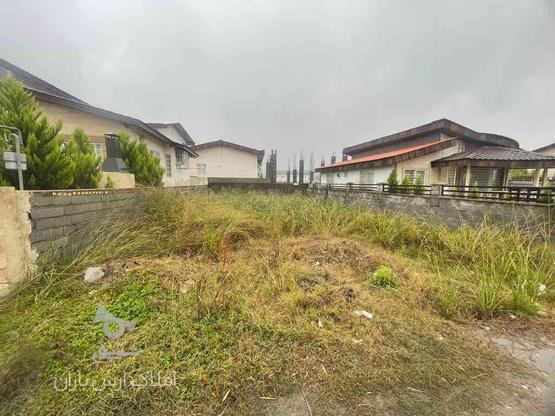 فروش زمین مسکونی 250 متر در سلامت سرا در گروه خرید و فروش املاک در مازندران در شیپور-عکس1