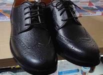 کفش مردانه 43 در شیپور-عکس کوچک