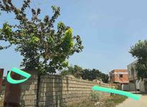 فروش زمین مسکونی خانه باغی 1500 پنبه چوله جاده دریا در شیپور-عکس کوچک