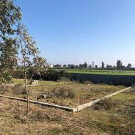 فروش زمین 200 متر در جویبار