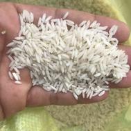 برنج محلی طارم از شالیزار فریدونکنار