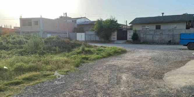 فروش زمین مسکونی 202 متر در بهشتی محله در گروه خرید و فروش املاک در مازندران در شیپور-عکس1