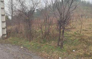 فروش زمین 1750 متری کاربری باغ در ارتفاعات رامسر