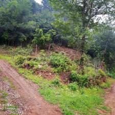 فروش ومعاوضه زمین مسکونی 365 متری باسند در منطقه دره جیر