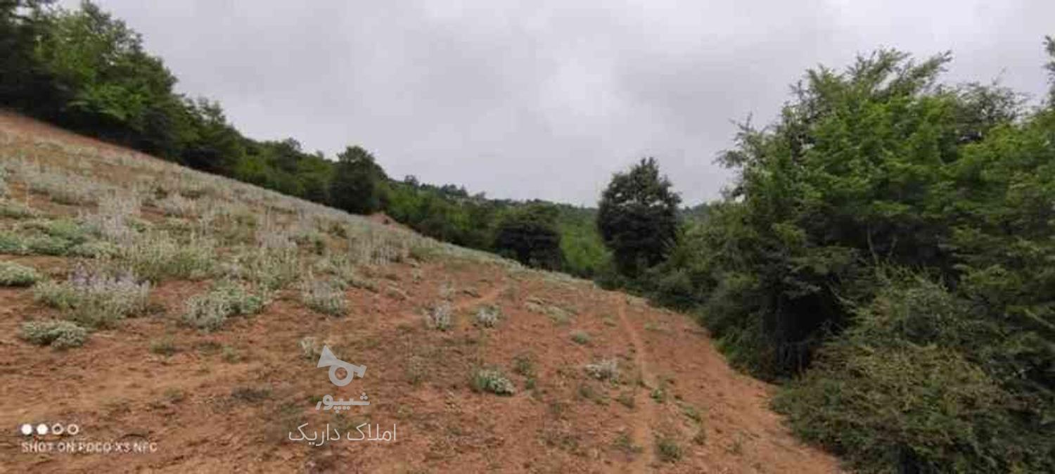 زمین در کجور 500 متری در گروه خرید و فروش املاک در مازندران در شیپور-عکس1