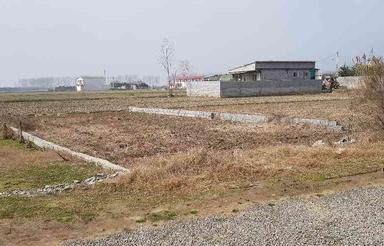 زمین211 متری جاده کیاکلا