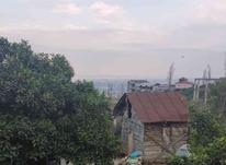 فروش زمین مسکونی 800 متر در جنت رودبار در شیپور-عکس کوچک