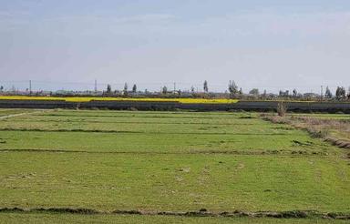 فروش زمین کشاورزی 20000 متر در ساحل چپکرود