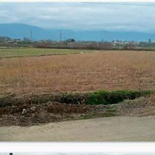 زمین مسکونی 380 متردر روستای (ترشایه)رودسر