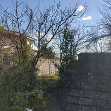 زمین مسکونی 200 متری روستا سرمستان رودسر