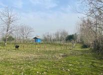 فروش زمین 550متر در جاده قلعه رودخان دوبحر در شیپور-عکس کوچک