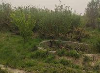 فروش باغ 4000 متر در شهریار در شیپور-عکس کوچک