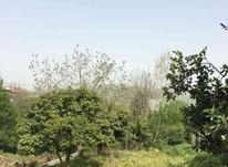 زمین و باغ 260 متر در پلاک دوم از جاده قراخیل در شیپور-عکس کوچک