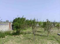 زمین مسکونی 477 متر در جاده محمود آباد در شیپور-عکس کوچک