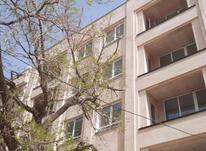 فروش آپارتمان 120 متر در سوهانک در شیپور-عکس کوچک