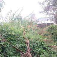 زمین مسکونی 290 متر در خیابان پاسداران