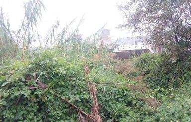 زمین مسکونی 290 متر در خیابان پاسداران