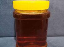 تولید و پخش عمده عسل طبیعی با تضمین کیفیت در شیپور-عکس کوچک