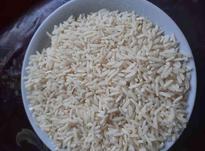 برنج طارم هاشمی در شیپور-عکس کوچک