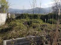 علفتراشی زمین و شخم زدن زمین و دور درخت با دستگاه در شیپور-عکس کوچک