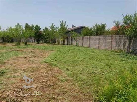 فروش زمین 422 متری مسکونی و تجاری براصلی بلوار رودبنه در گروه خرید و فروش املاک در گیلان در شیپور-عکس1