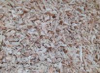 خاک اره و پِرت چوب در شیپور-عکس کوچک