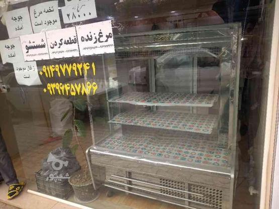 یخچال ویترینی در گروه خرید و فروش صنعتی، اداری و تجاری در اصفهان در شیپور-عکس1