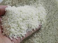 برنج طارم هاشمی شمال در شیپور-عکس کوچک