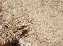 کاه گندم درجه یک در شیپور-عکس کوچک
