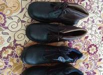 کفش ایمنی نو 42 در شیپور-عکس کوچک