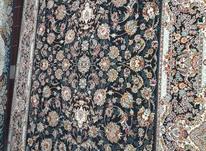 فرش 9و 12 متری 700شانه نو در شیپور-عکس کوچک