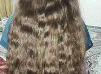 فروش موی طبیعی خاص بدون رنگ حنا بالای60سانتیمتر در شیپور-عکس کوچک