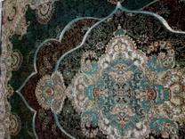 فرش ربان دار به رنگ درباری یک جفت در شیپور