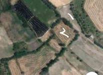 زمین باغی در روستای جهندیز در شیپور-عکس کوچک