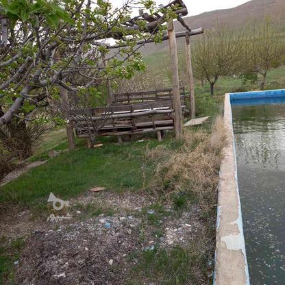 باغ 2 هکتار قطره ای شده با 2 چشمه اختصاصی در جاده قیدار در گروه خرید و فروش املاک در زنجان در شیپور-عکس1
