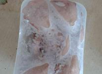 فروش گوشت بلدرجین در بسته های چهار عددی در شیپور-عکس کوچک