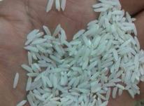 برنج طارم تمام ارگانیک در شیپور-عکس کوچک